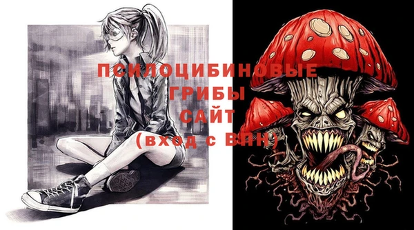 МДПВ Алексин