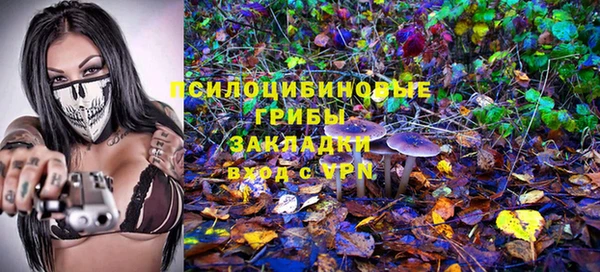стаф Алексеевка