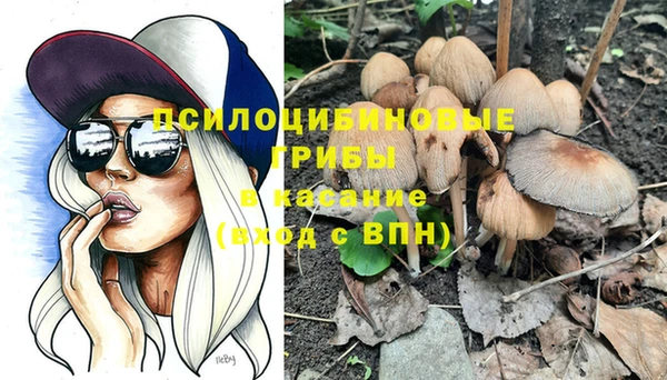 стаф Алексеевка