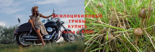 бошки Алзамай