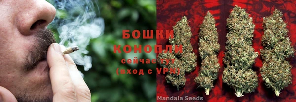 бошки Алзамай